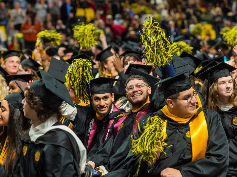 A photo of a crowd of graduates wearing graduation caps and gown.s Some of the people in the crowd are waving yellow and black pompoms. 