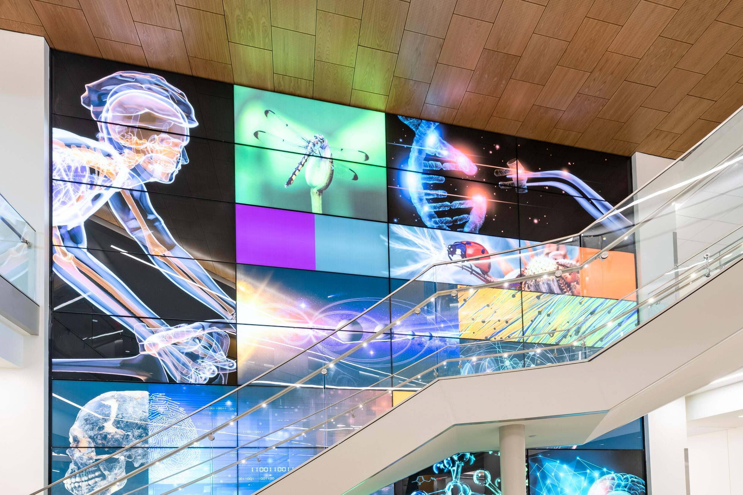 A photo of a staircase in front of a wall lit up with a collage of science photos 
