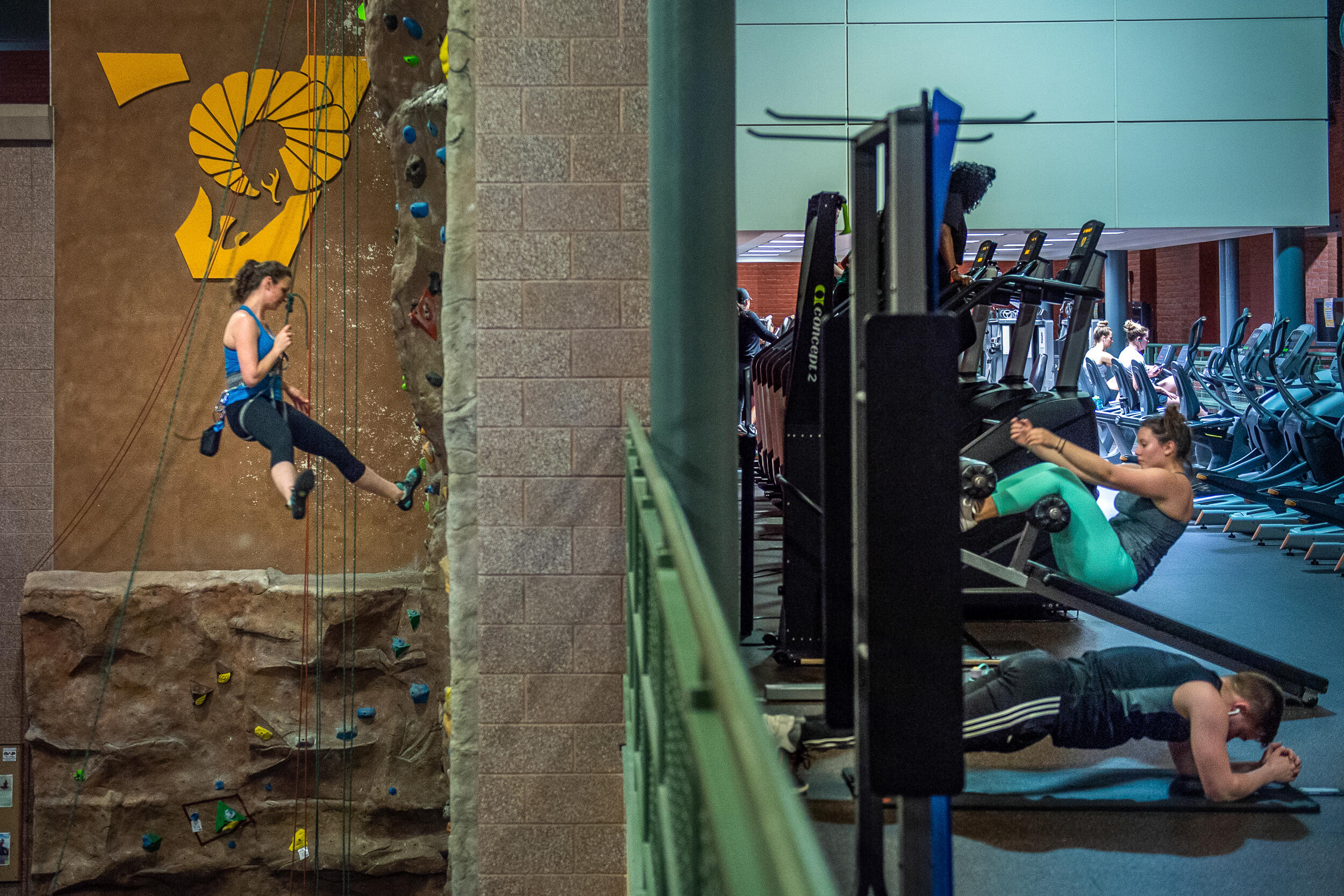 Students work out on a row of workout equipment on the other side of a rock climbing wall where a student climbs at Cary Street Gym.