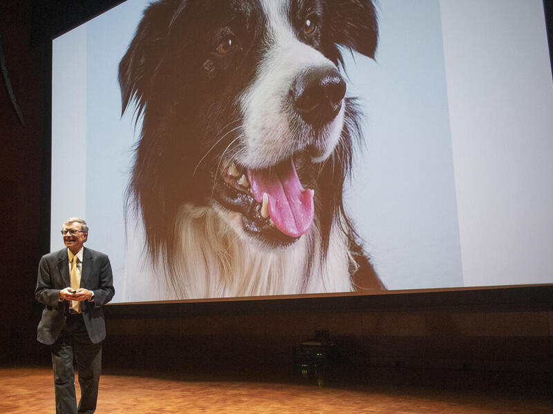 A man on a stage standing in front of a large screen. On the screen is a large image of a black and white dog. 