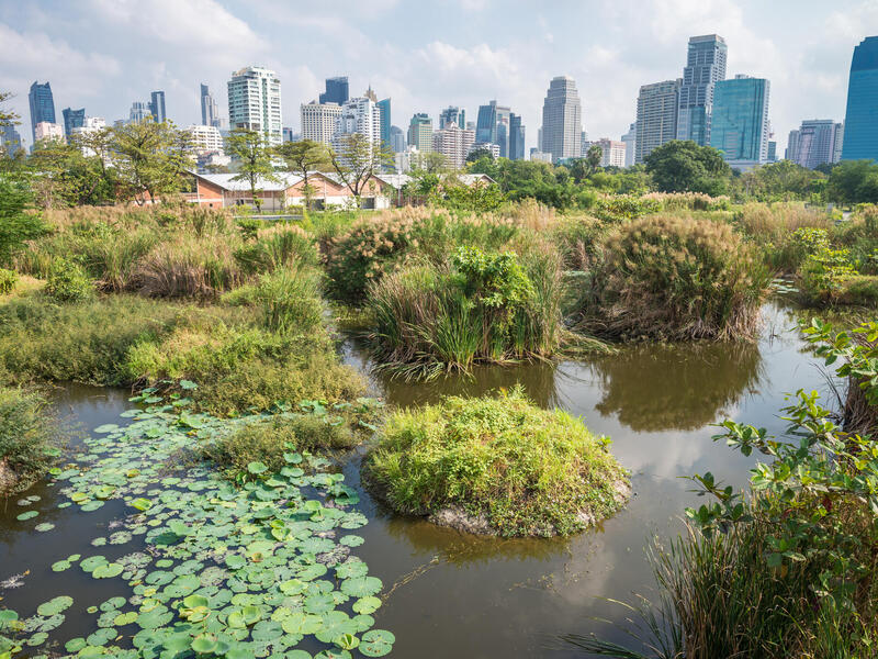 A green space is in the foreground, and a city skyline is in the background.