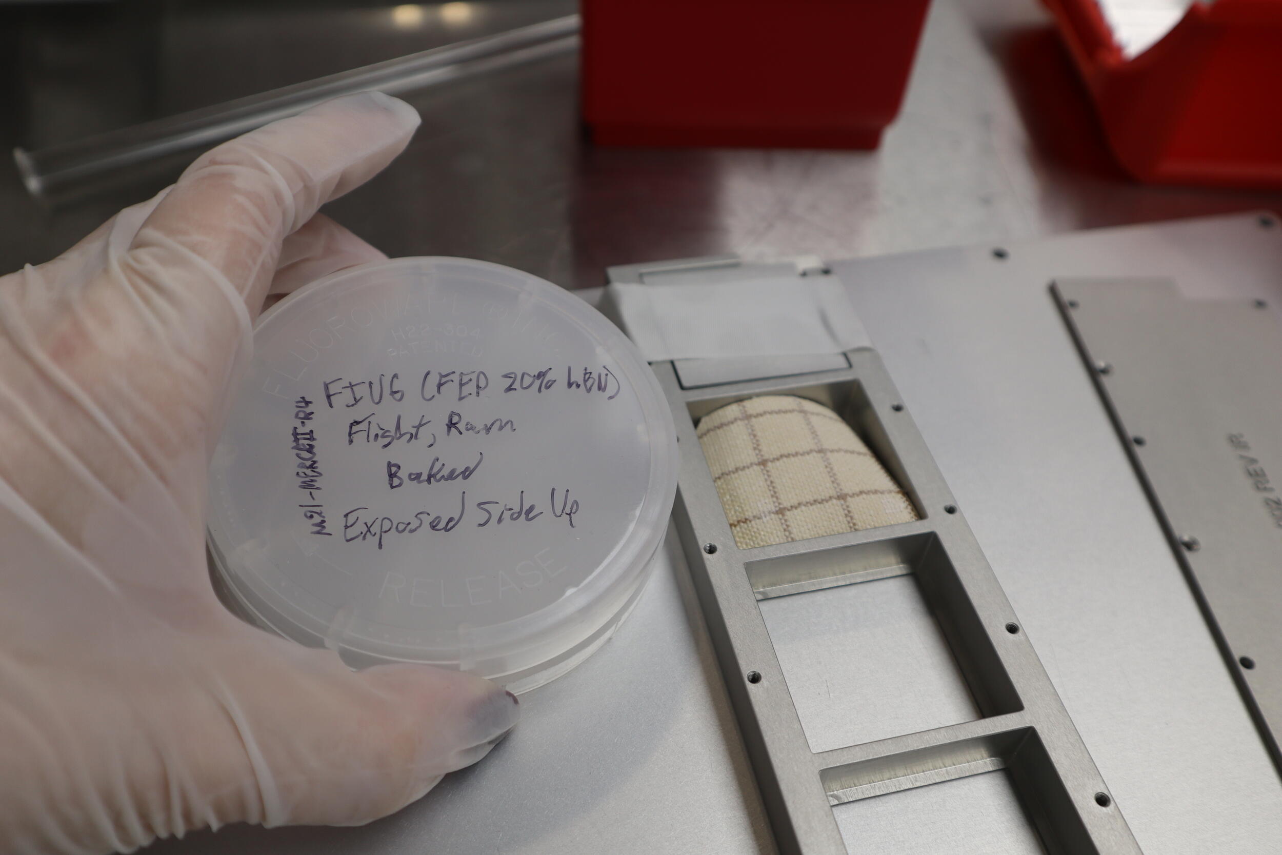 A photo of a gloved hand holding a petri dish. 