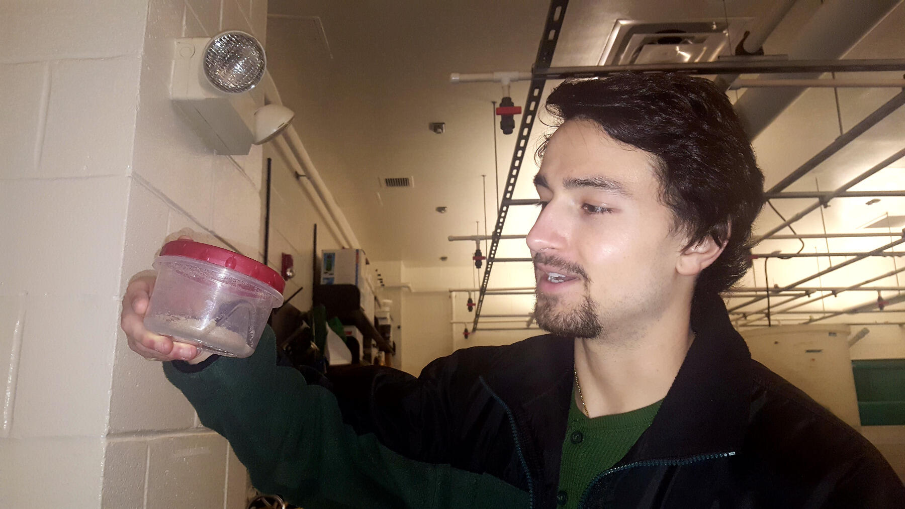 Daniel Mohammadi holds holds a container of brine shrimp, the main diet of the zebrafish, in the Tombes Lab.
<br>Photo by Leah Small, University Public Affairs.
