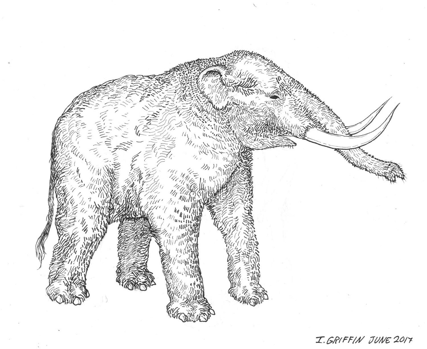 Illustration by VCU junior Isabel Griffin.