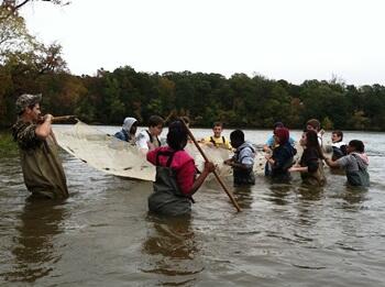 Students investigate river life.