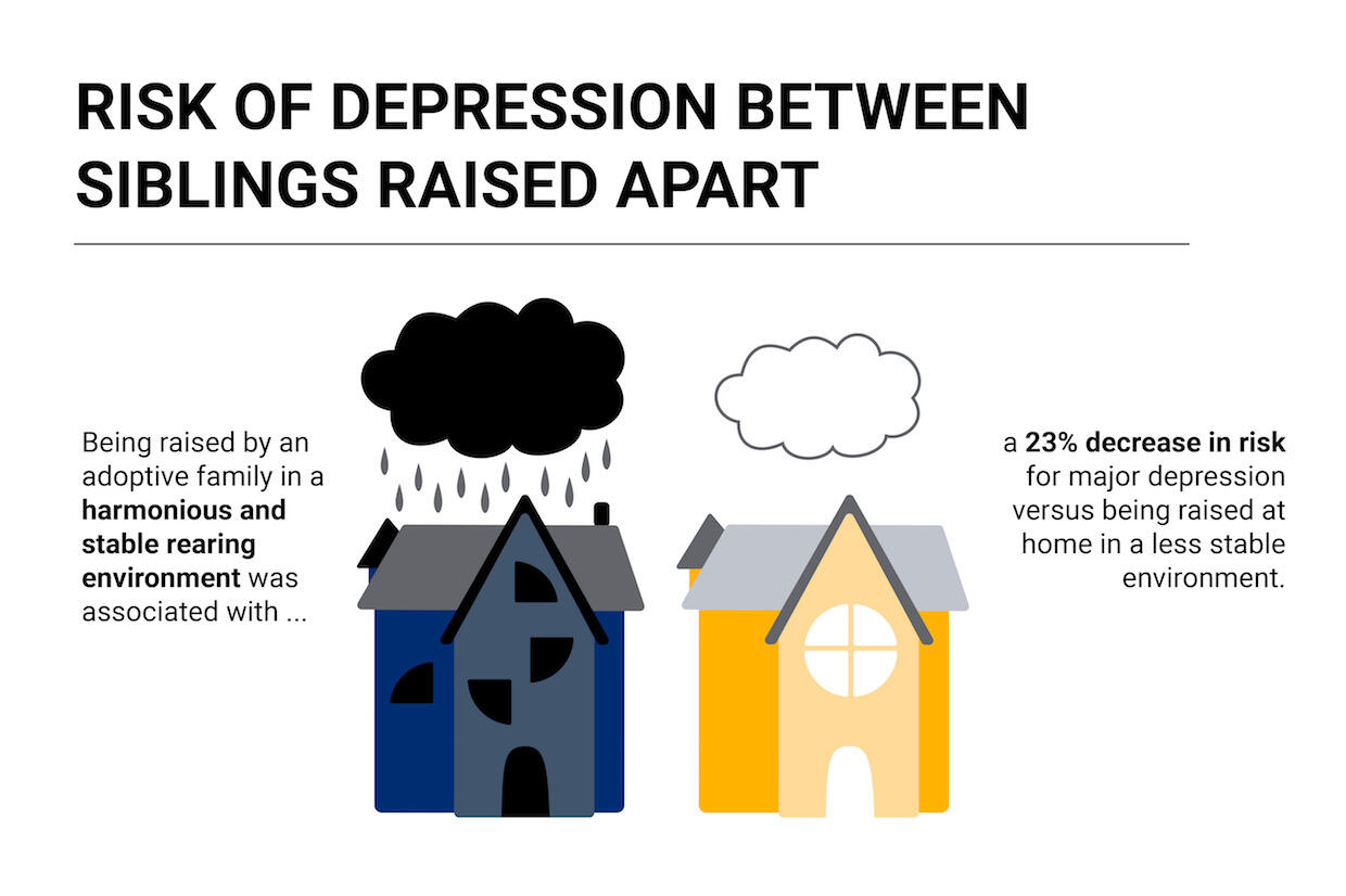 Title text on the screen says "Risk of Depression Between Siblings Raised Apart." On-screen caption reads "Being raised by an adoptive family in a harmonious and stable rearing environment was associated with a 23% decrease in risk for major depression versus being raised at home in a less stable environment."