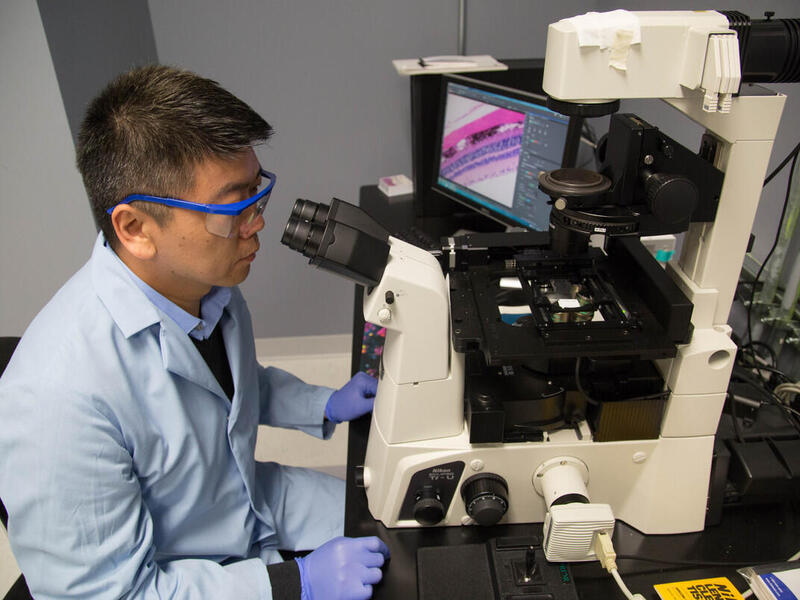 Hu Yang using a microscope.