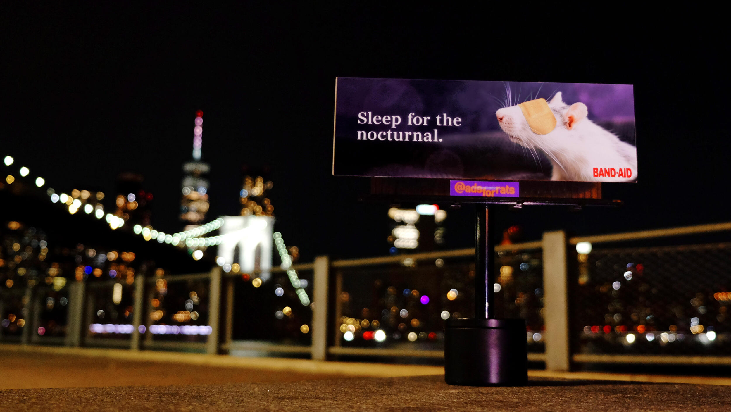 A photo of a mini billboard that shows a rat with a band aid over its eyes. White text reads \"Sleep for the nocturnal.\" and red text reads \"BAND AID\"