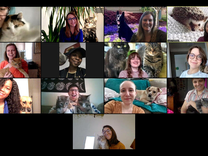 A group of video conference participants with their pets.