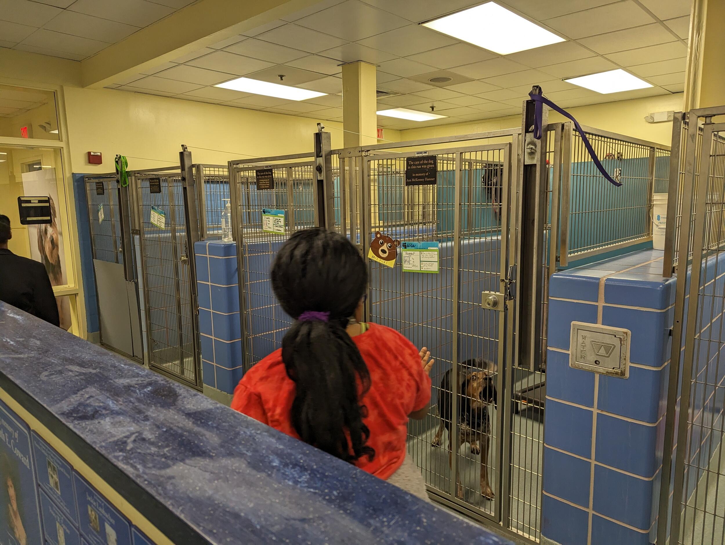 A photo of a woman standing in front of a dog kennel. 