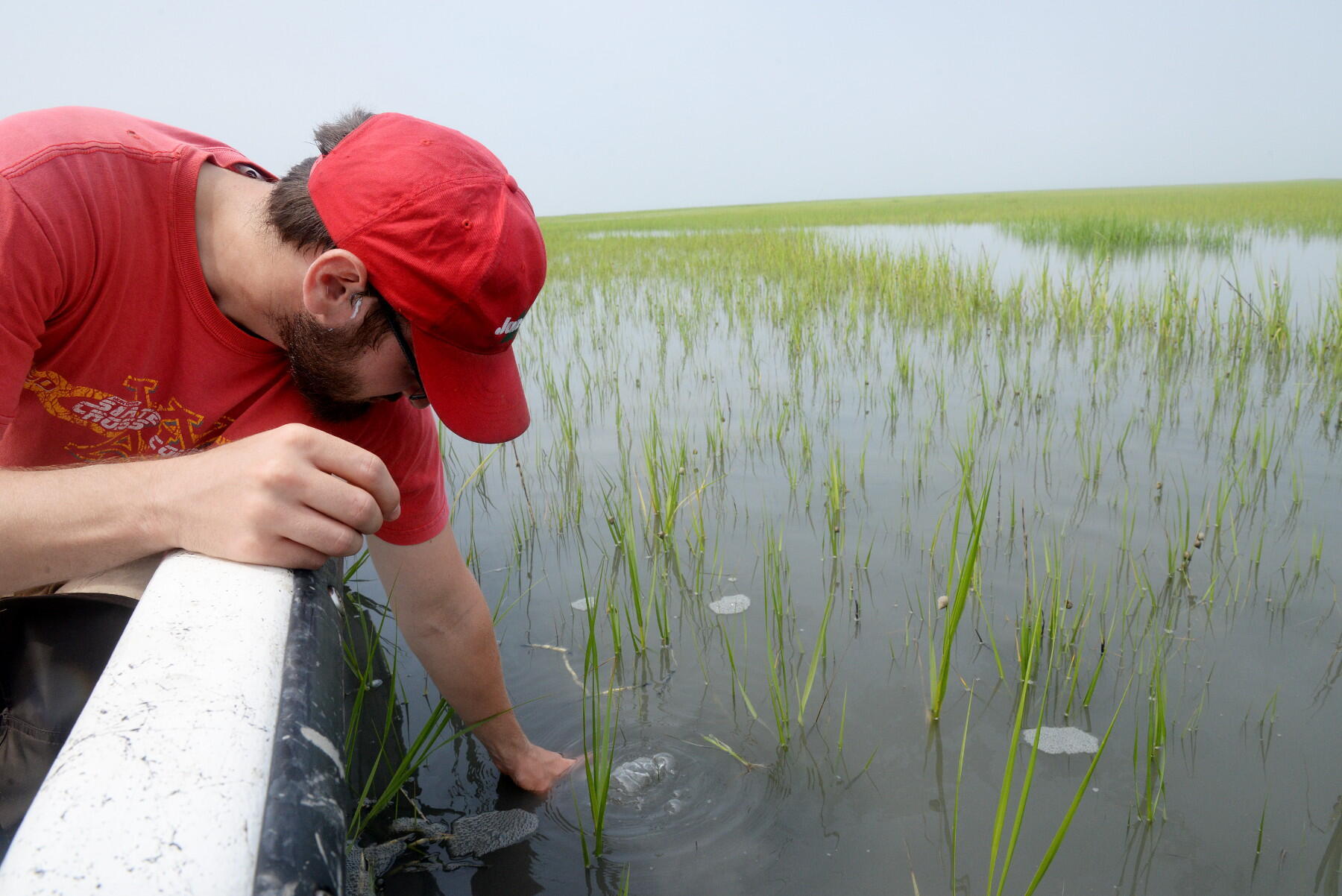 Michael Sinclair, a master's degree student in the Department of Biology, takes a water sample off the shore of Hog Island. (Photo by Brian McNeill, University Relations)
