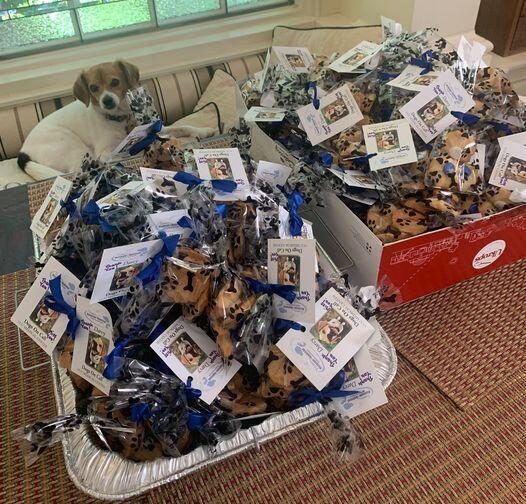Therapy dog Darcy surrounded by packages of cookies.