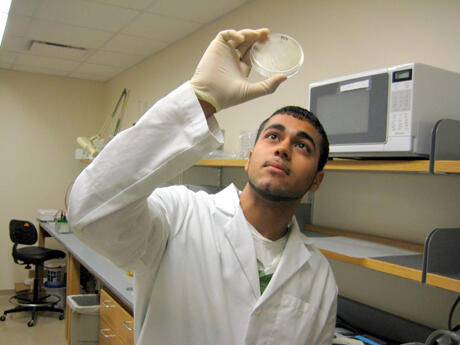 Samay Sappal, a rising senior at Henrico High School, inspects the extra cellular domain of breast cancer cells that he has purified.

Photo courtesy of Christopher Pang