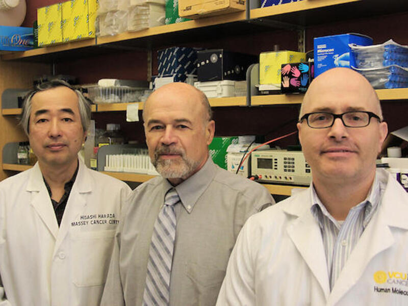 From left to right: Massey Cancer Center researchers Hisashi Harada, David Gewirtz and Joseph Landry
