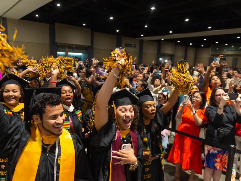 Group of graduates in caps and gown wave pompoms while crowd nearby cheers and takes pictures.
