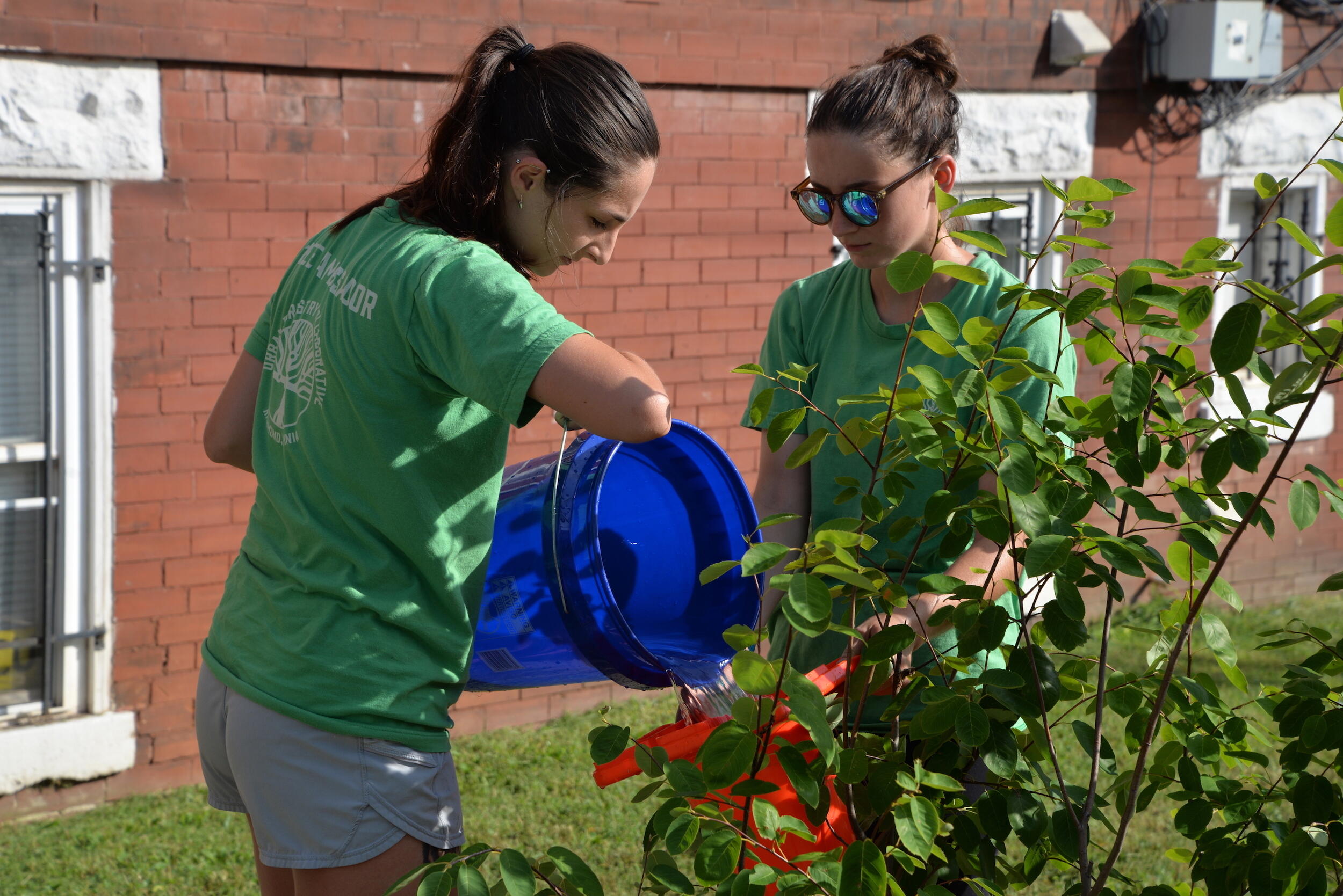 Two students — one holding a traffic cone and another holding a bucket — refill a water bag surrounding a young tree.