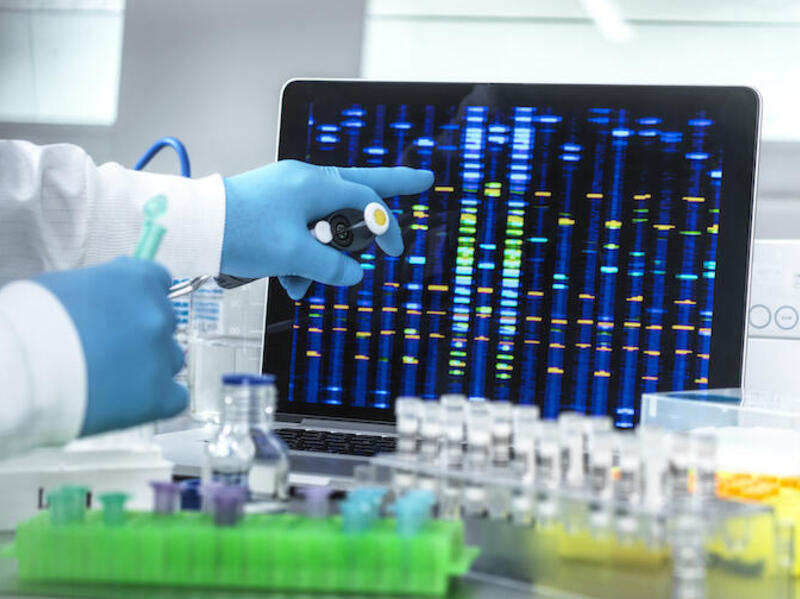 Hands wearing blue latex gloves pointing at a screen with blue, yellow, and green markings. On the counter are beakers. 