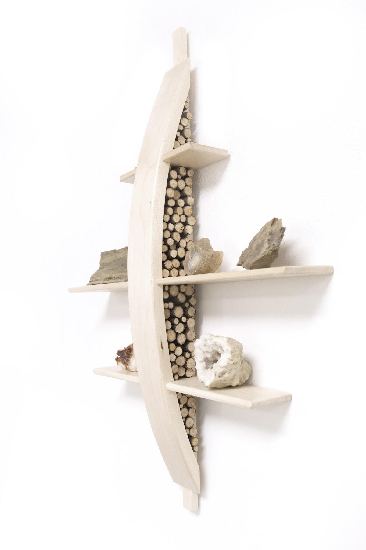 Scavenger's Shelf.
<br>Photo by Heather McCalla