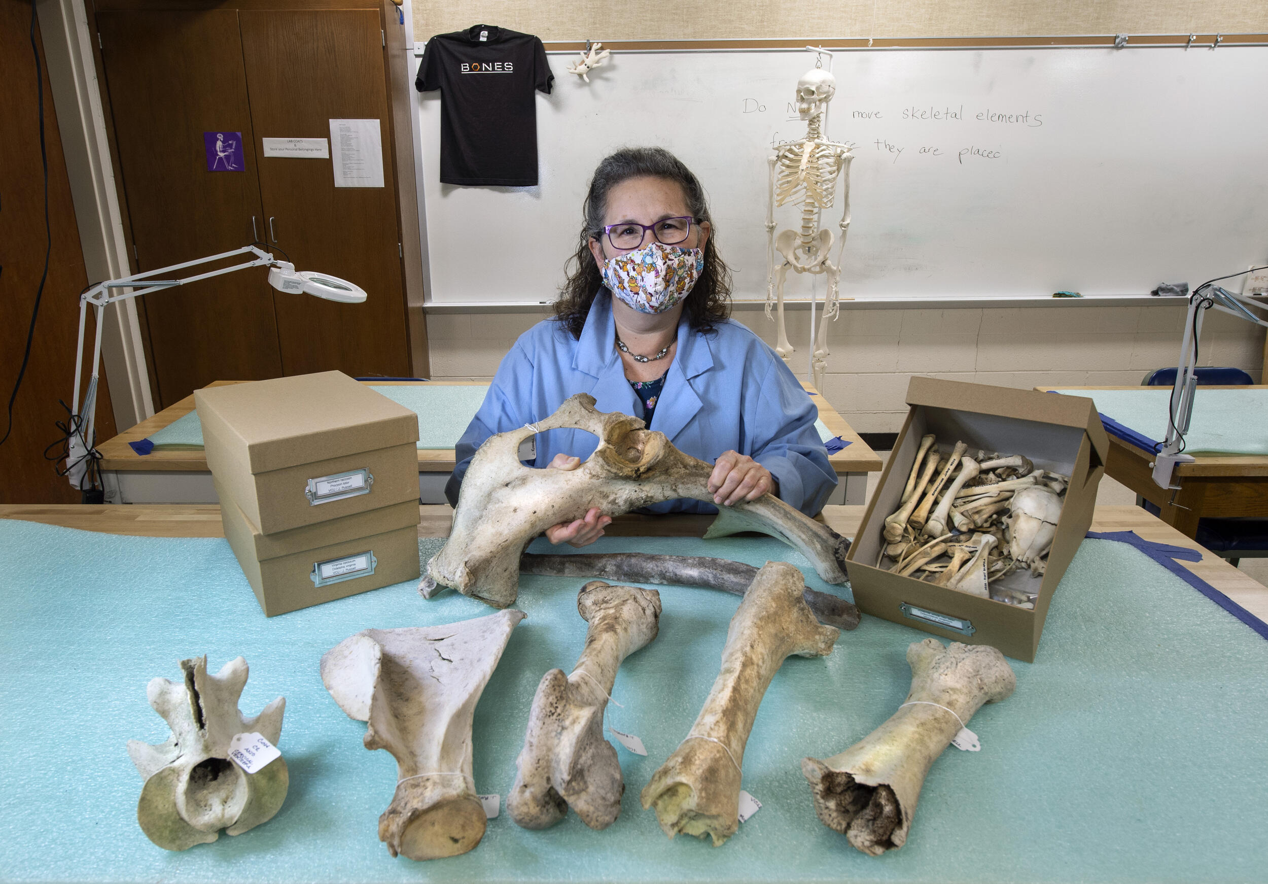A woman sitting at a table with several large bones in front of her 