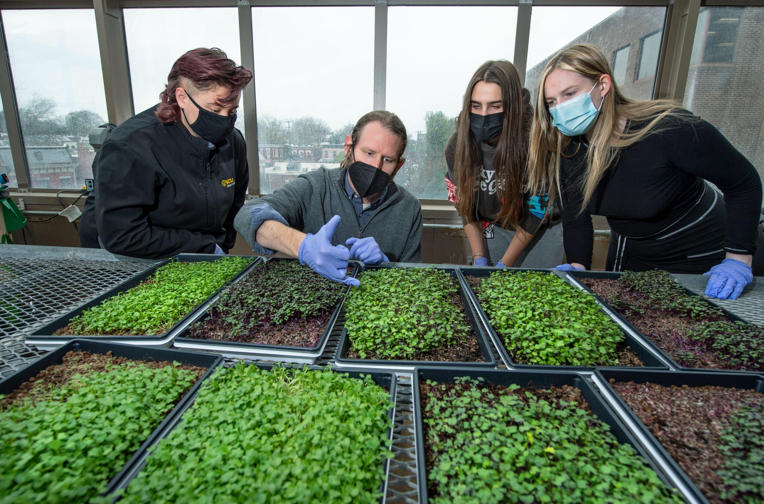 Professor John Jones and students working with beds of microgreens.