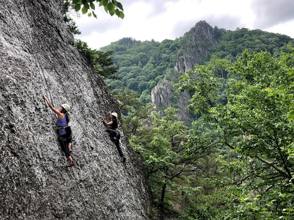 Two women climbing the side of a cliff in the middle of a forest