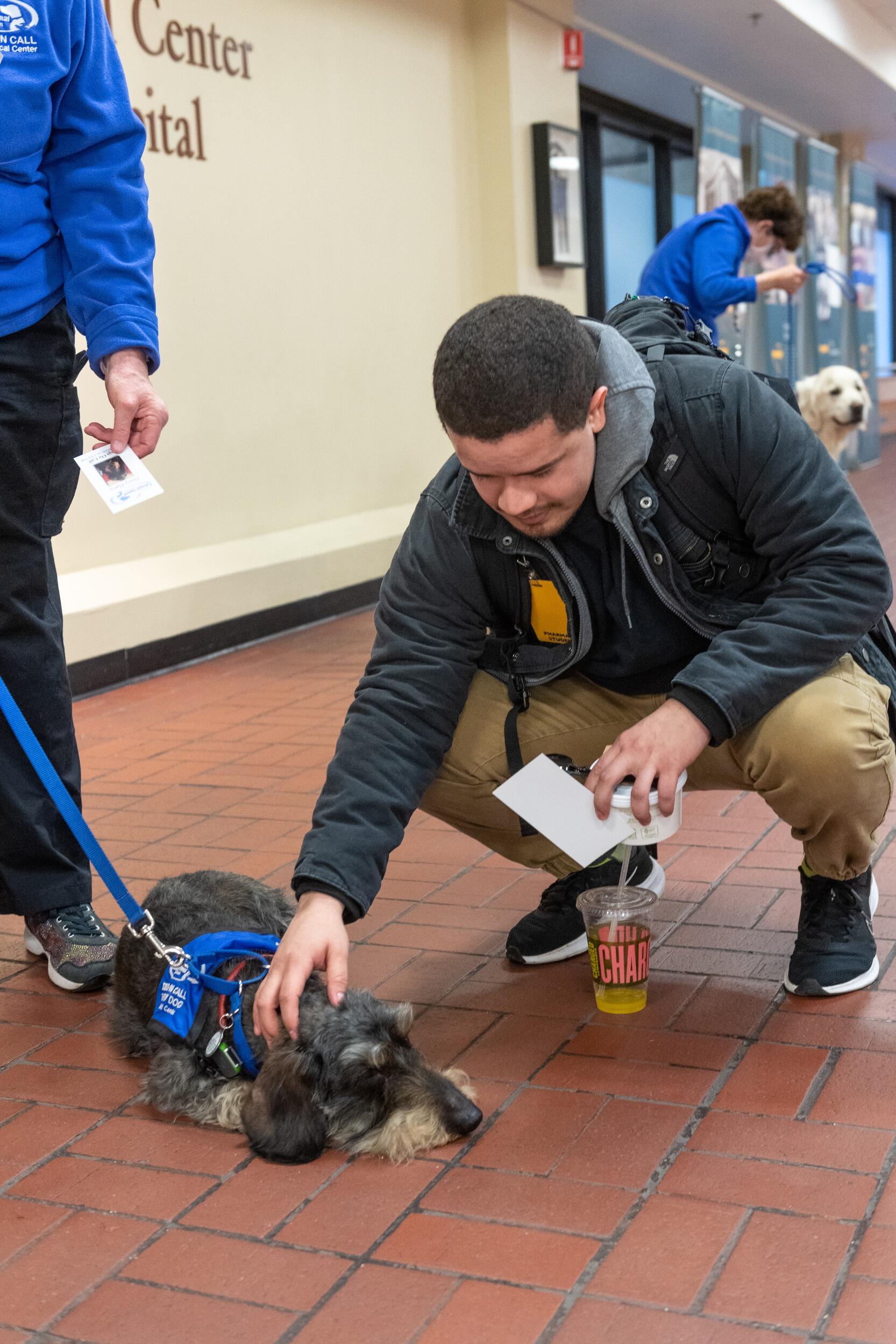 Man kneeling down to pet a therapy dog.