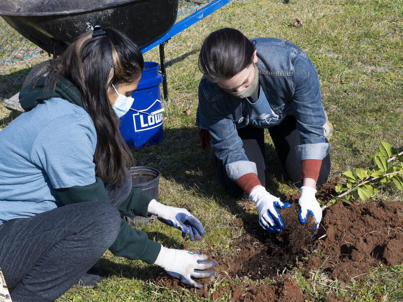 A group of people working to plan trees.