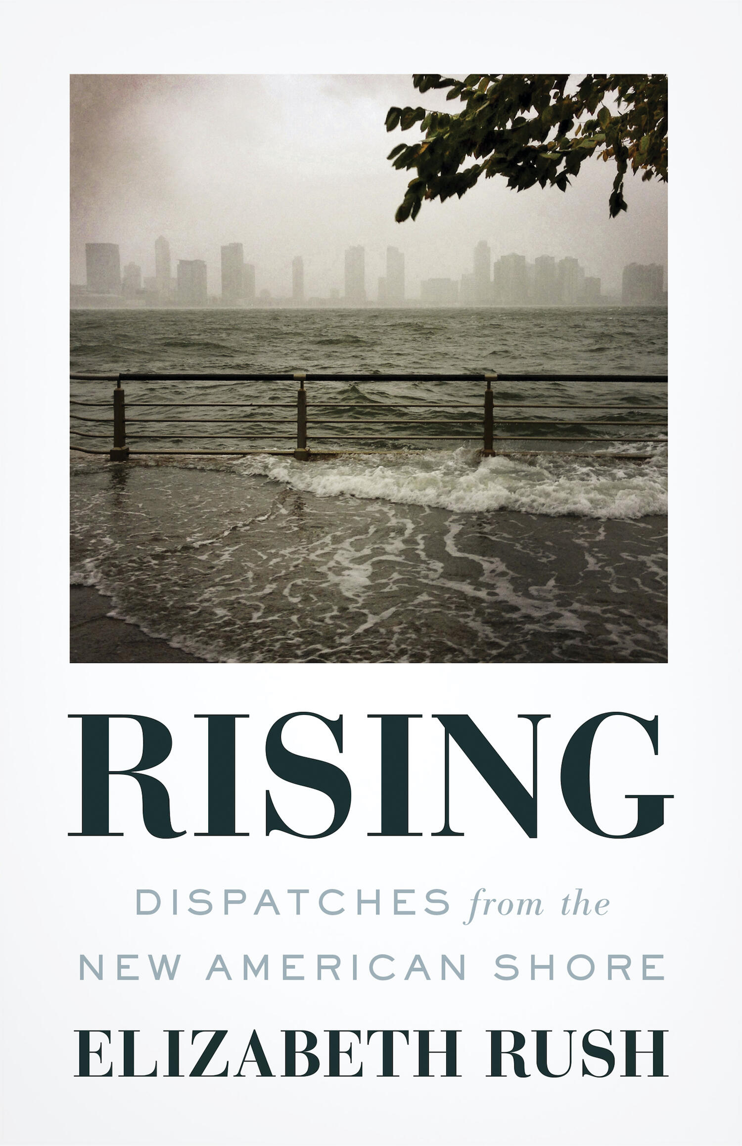 book cover for “Rising: Dispatches from the New American Shore”