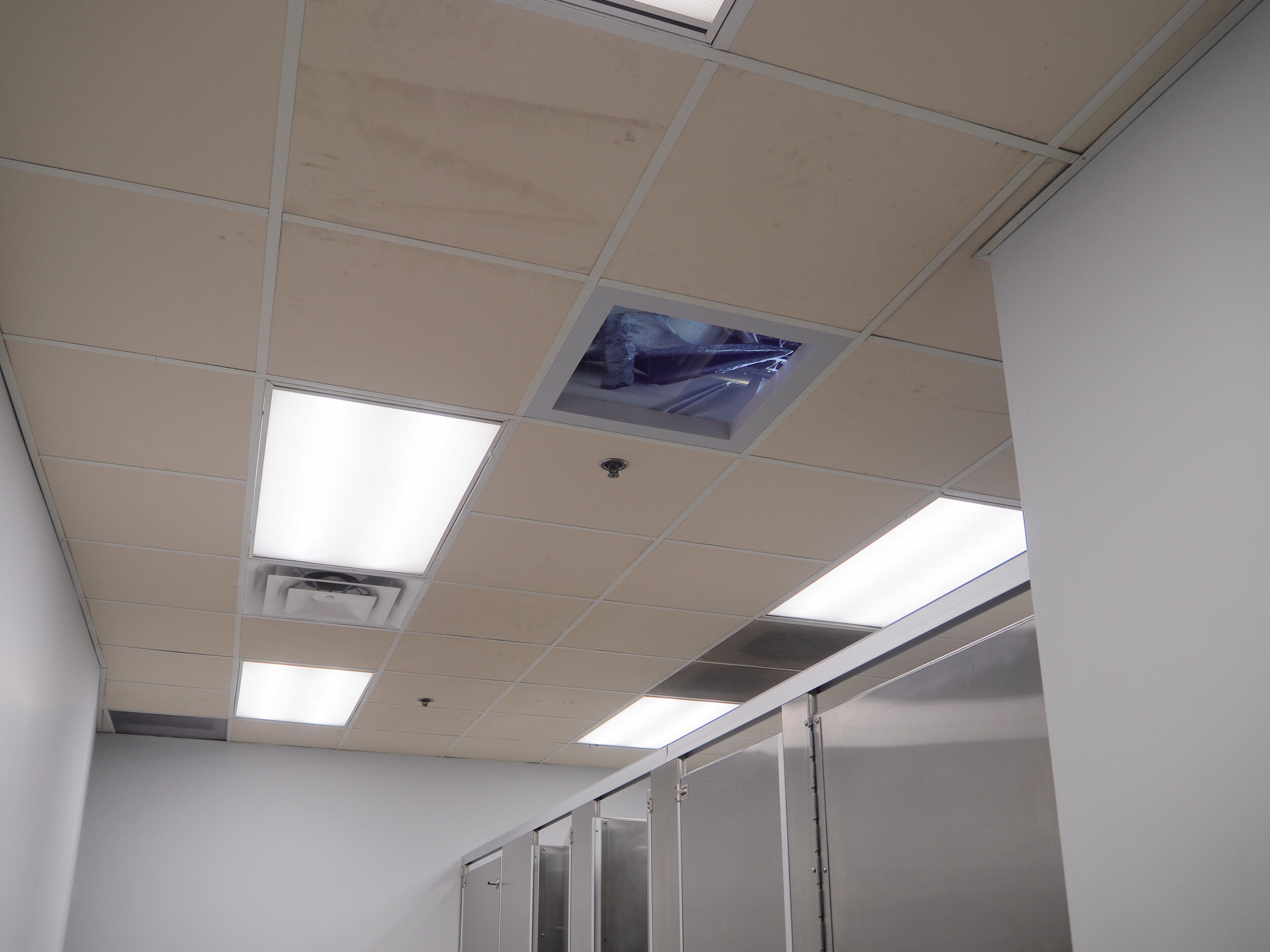 A photo of a ceiling in a public restroom. 