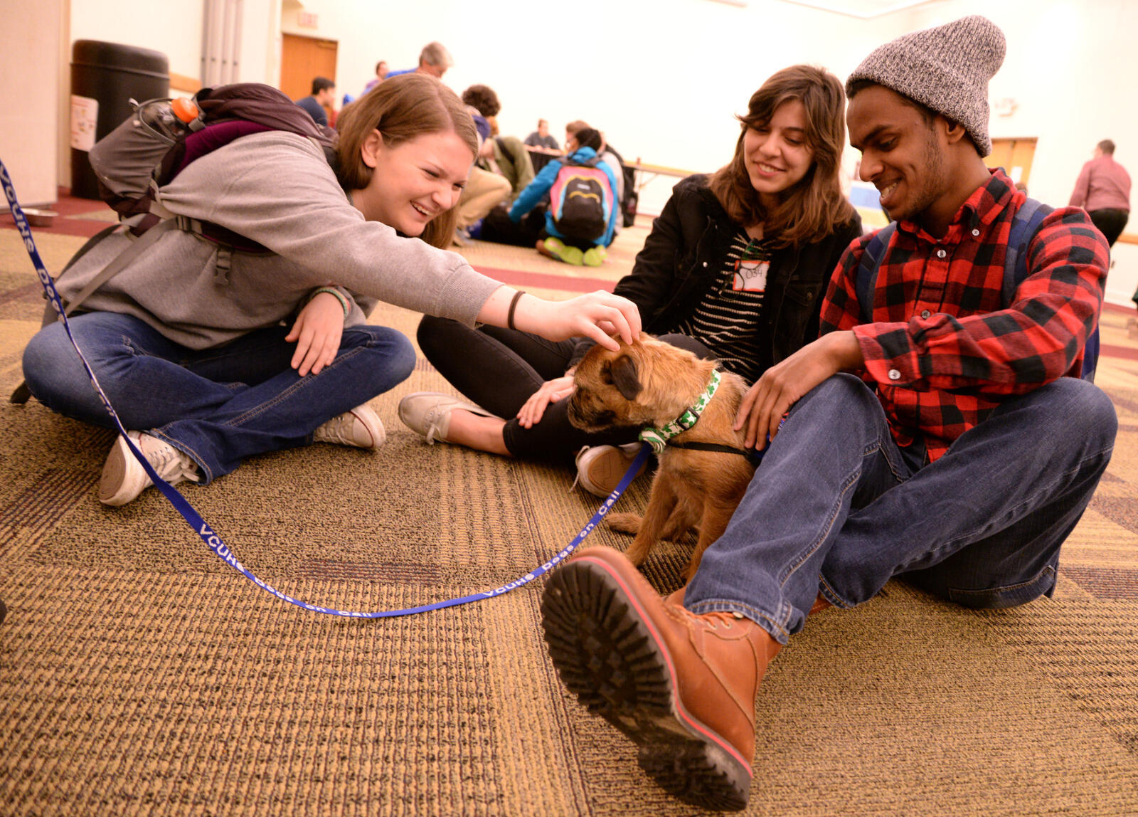 Students visit with Gabbi, a Dogs on Call therapy dog, during a Paws for Stress session Tuesday, March 15 at the University Student Commons. 
<br>Pat Kane, University Public Affairs