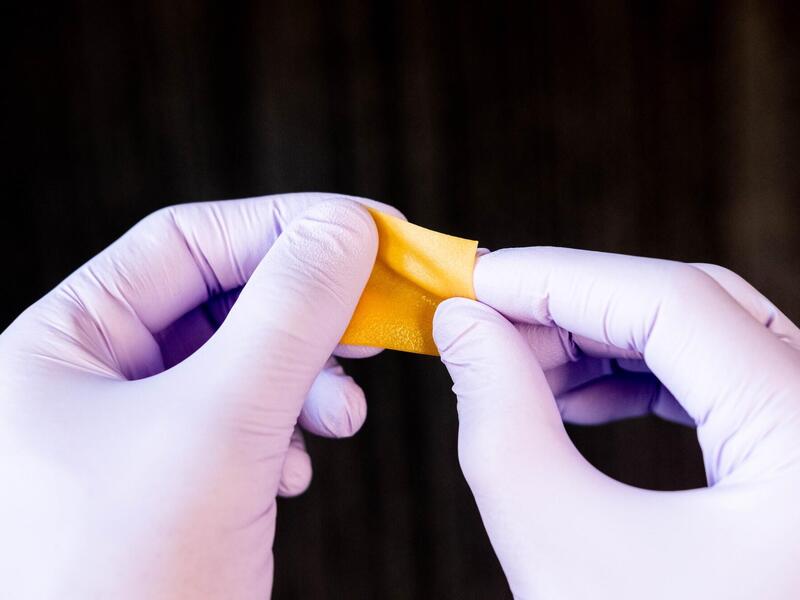 sheet of honey used to treat wounds