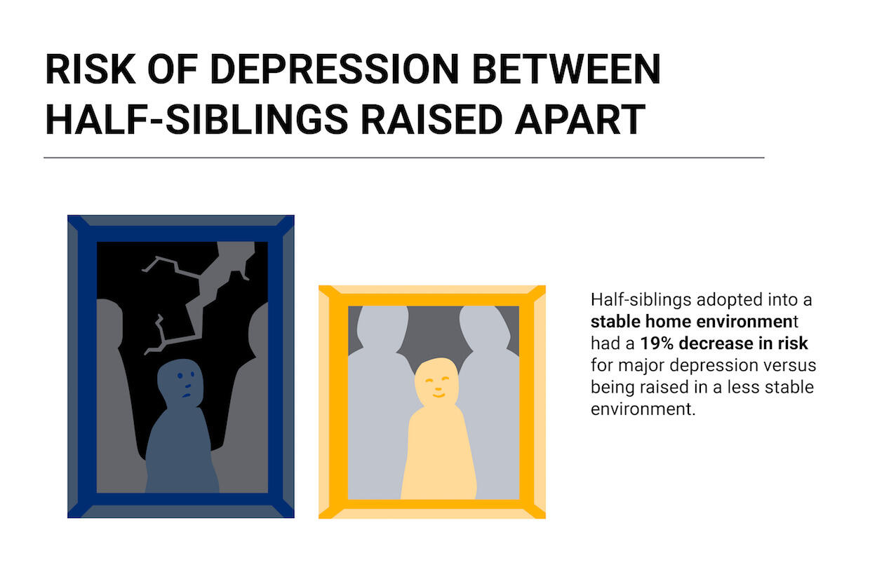 Two portrait drawings show a figure in dark colors showing sadness on the left and a figure in bright colors showing happiness on the right. 

Title text states "Risk of Depression Between Half-Siblings Raised Apart." On-screen caption reads 