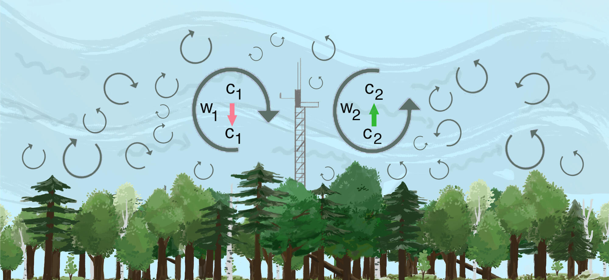 Illustration demonstrating the phenomenon known as eddy covariance, projecting carbon emissions as they interact with wind patterns and a forested habitat.