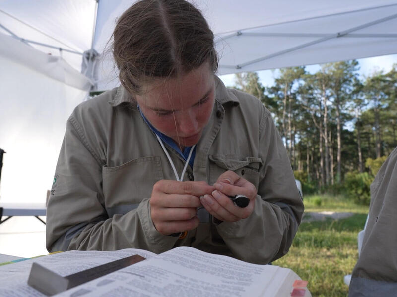 A photo of a woman sitting at a table under a tent in a field. There are books on the table. The woman is holding a small bird with a black head. 