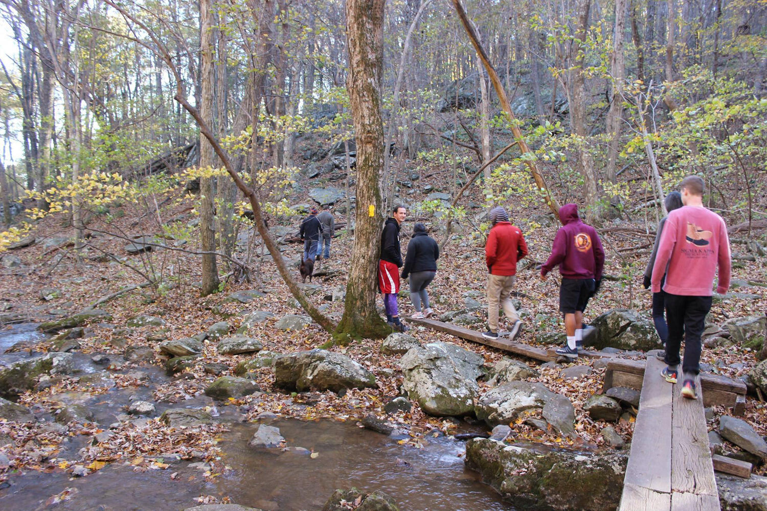 Rams in Recovery members on a hike.
<br>Contributed photo.