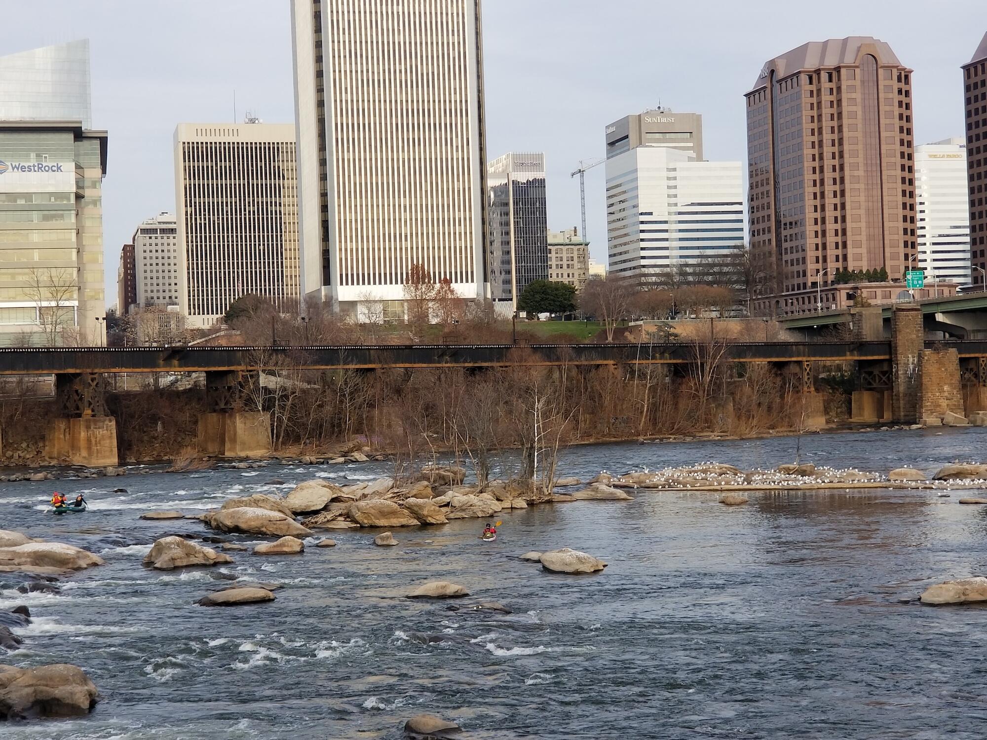 view at water level across a river with tall city buildings in the background