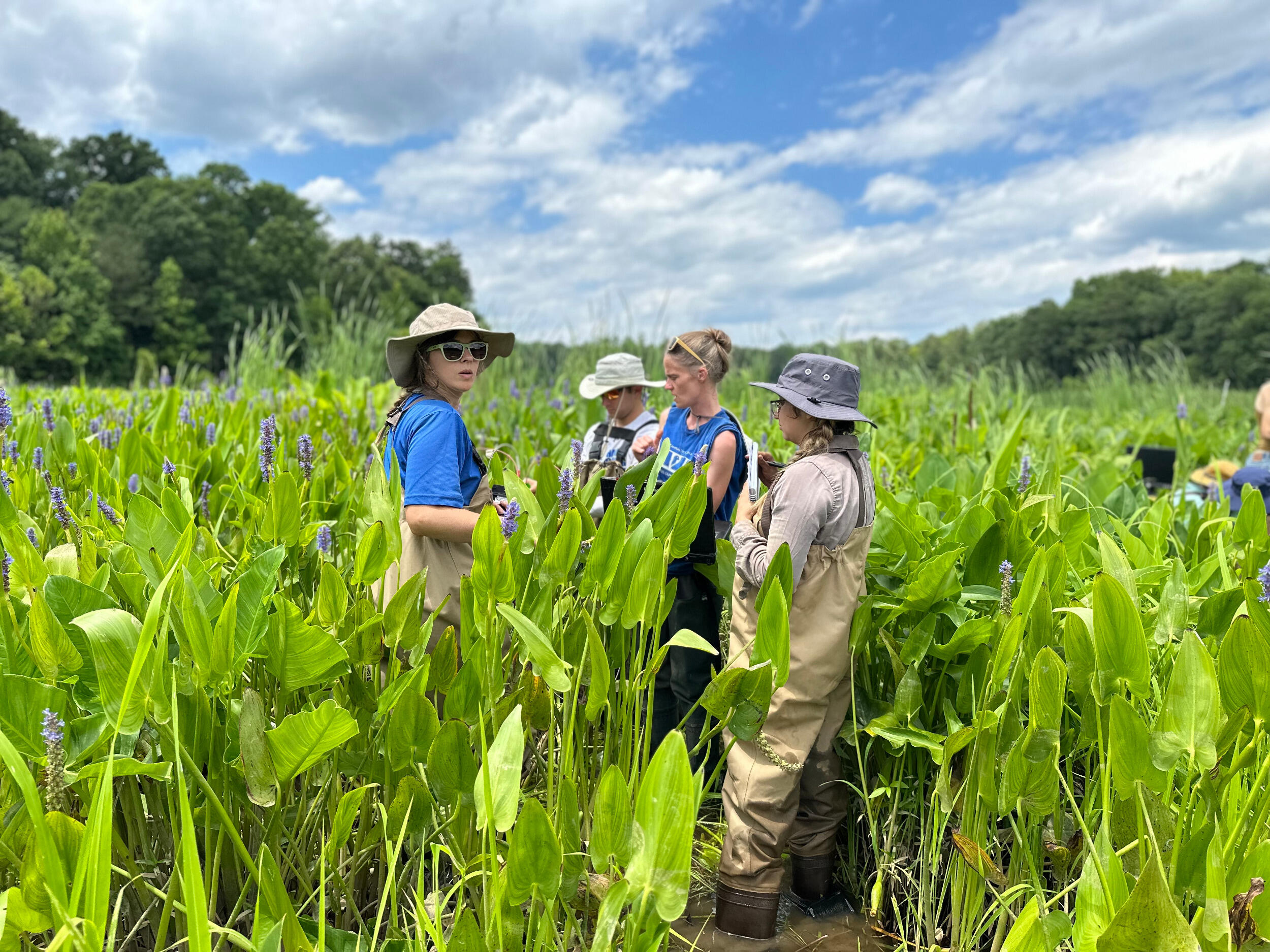 Four people stand in a field.