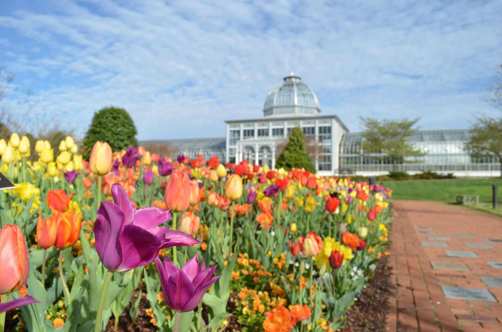 VCU Health seminars at Lewis Ginter Botanical Garden are free and open to the public, but registration is recommended. The seminars also are streamed live on the VCU Health Facebook page. (Courtesy photo)