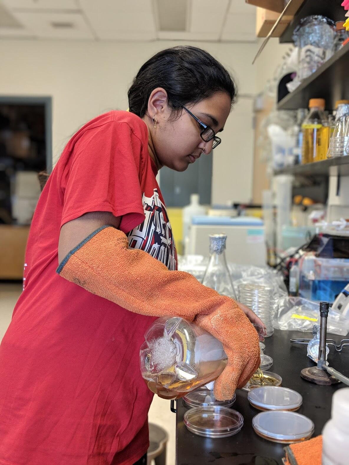A student pouring liquid into a petri dish inside of a laboratory.