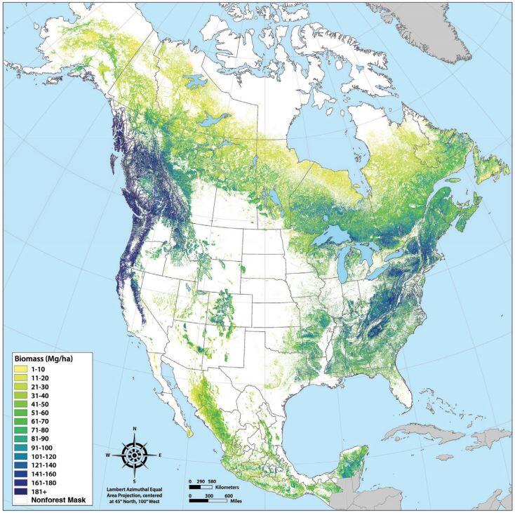 Map of United States showing forest cover.