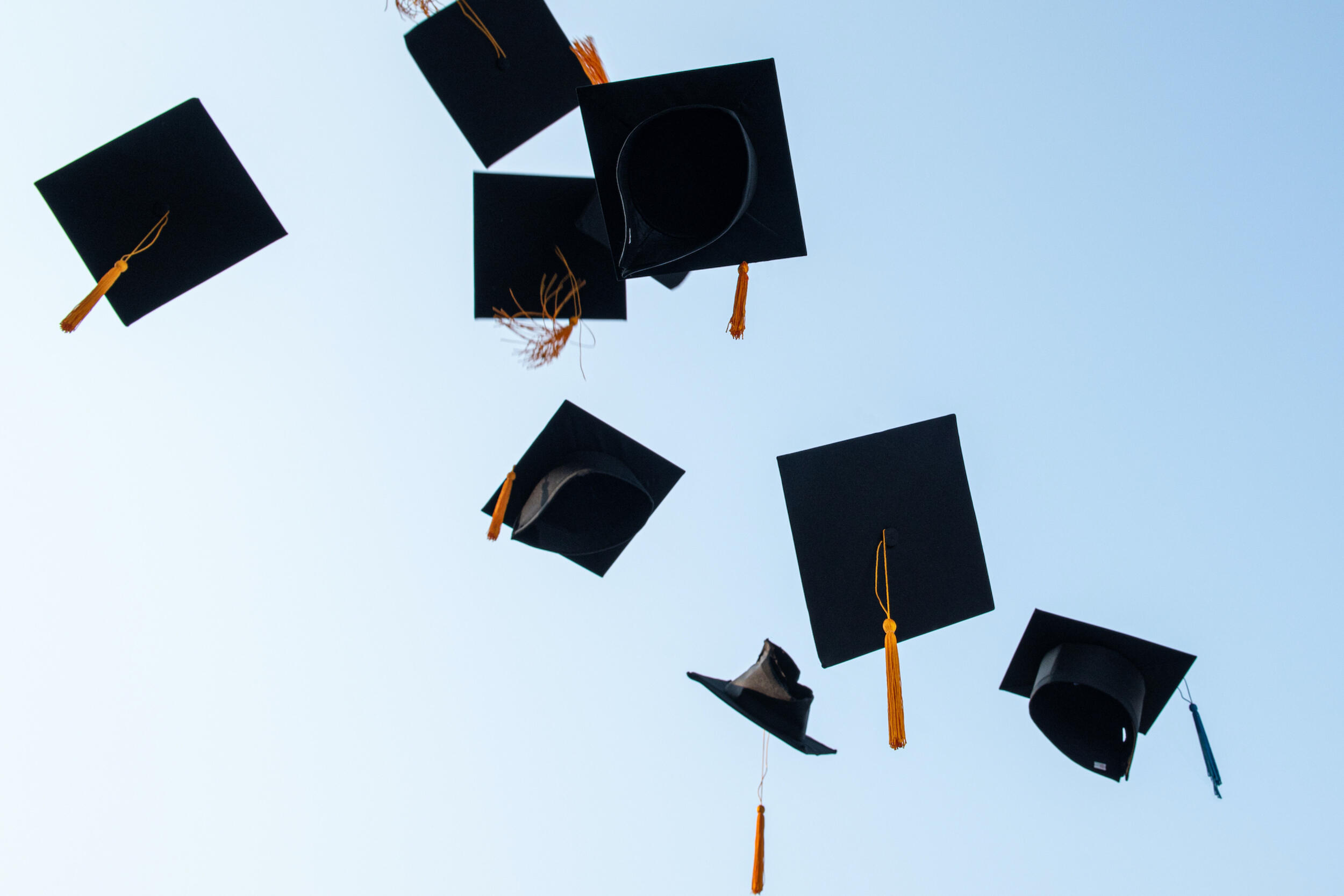 graduation caps in the air