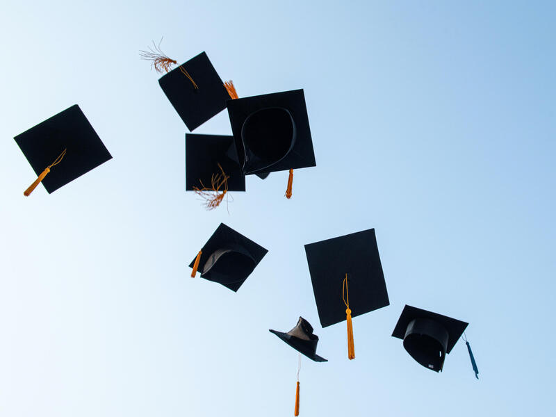 graduation caps in the air