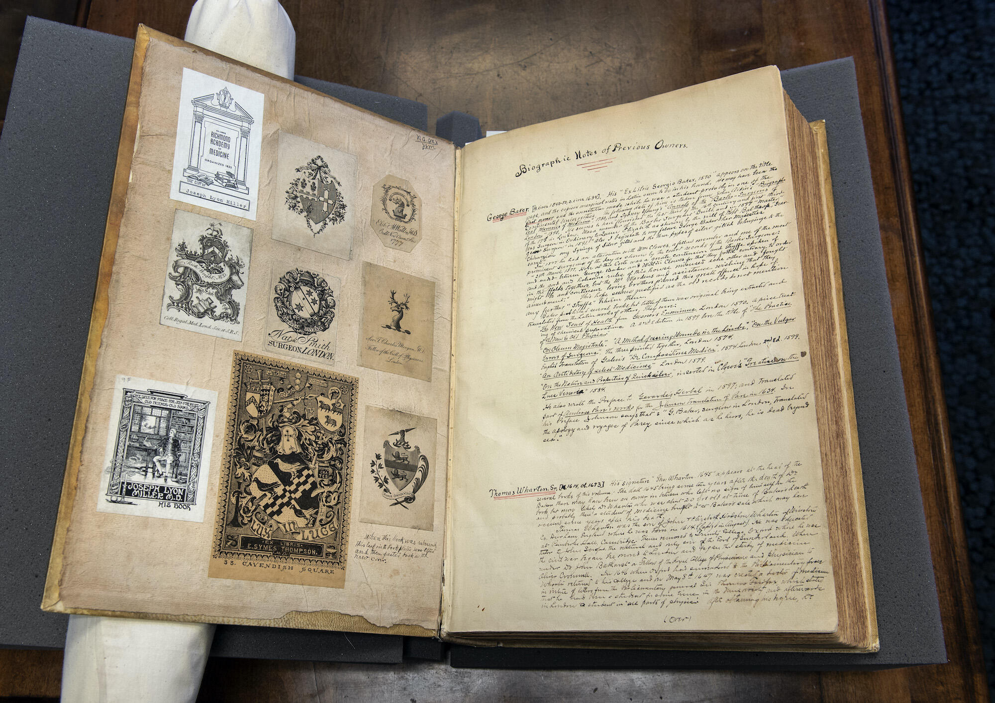 16th century medical illustration book