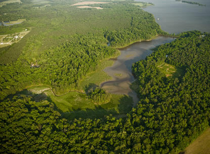 Wetlands Restoration Project to Begin at VCU Rice Center - VCU News ...