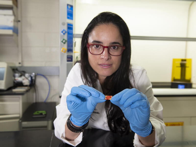 A photo of a woman wearing blue gloves holding a small red and yellow object in her hands.