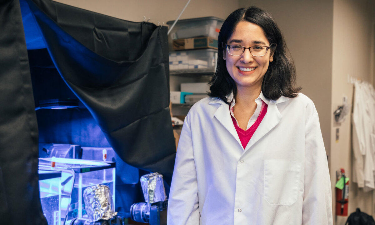 A woman standing next to a black tent with illuminated aquariums in it. 