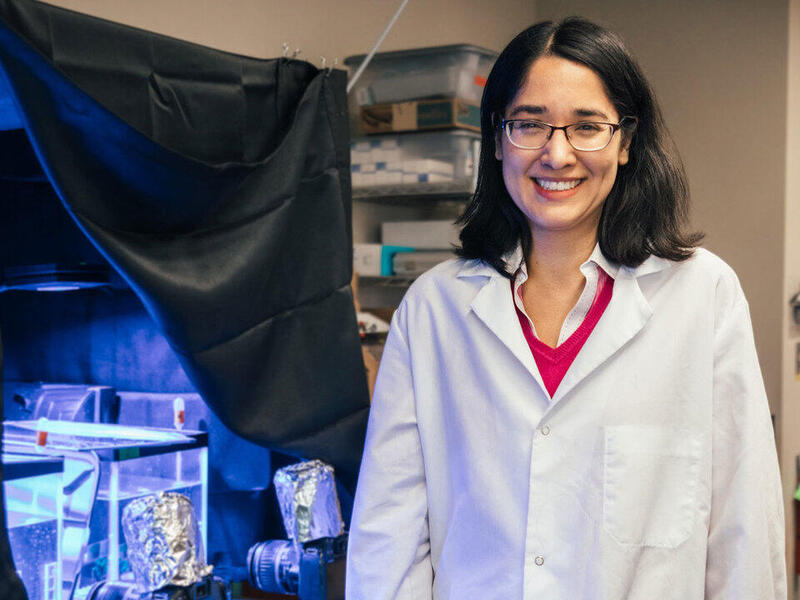 A woman standing next to a black tent with illuminated aquariums in it. 