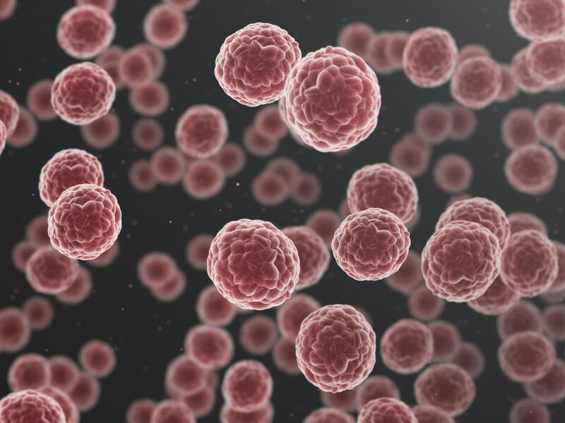 A 3D illustration of cells. 