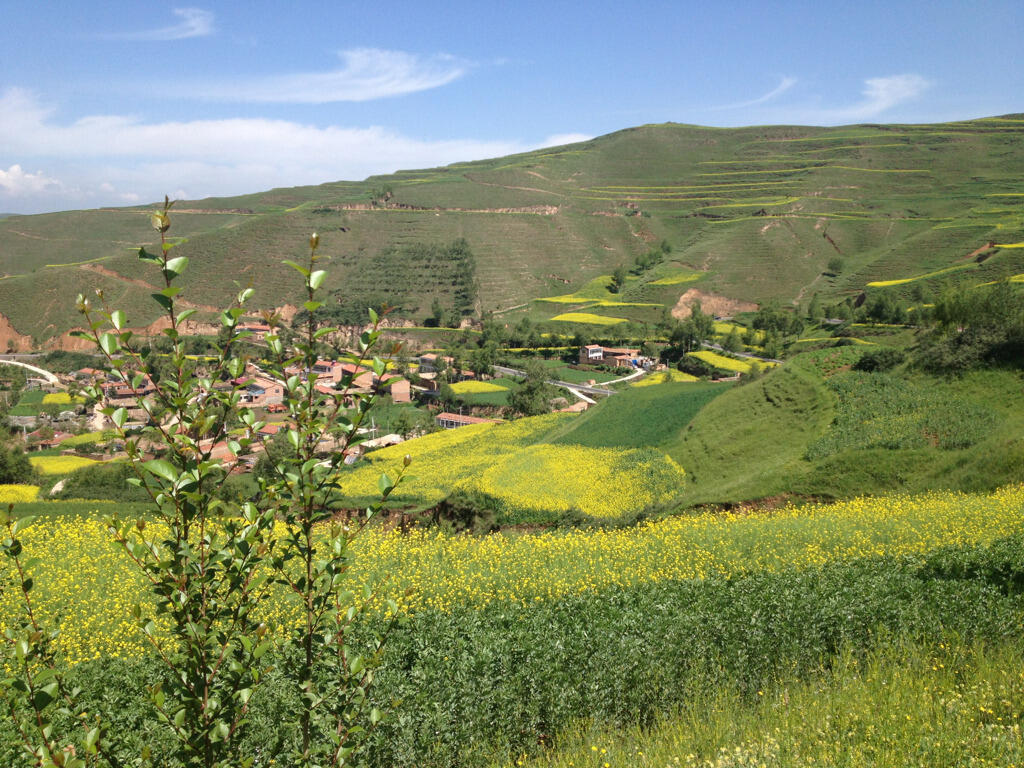 A view in Qinghai, China, where Cassie Yushan Sun traveled to learn the Panxiu technique.