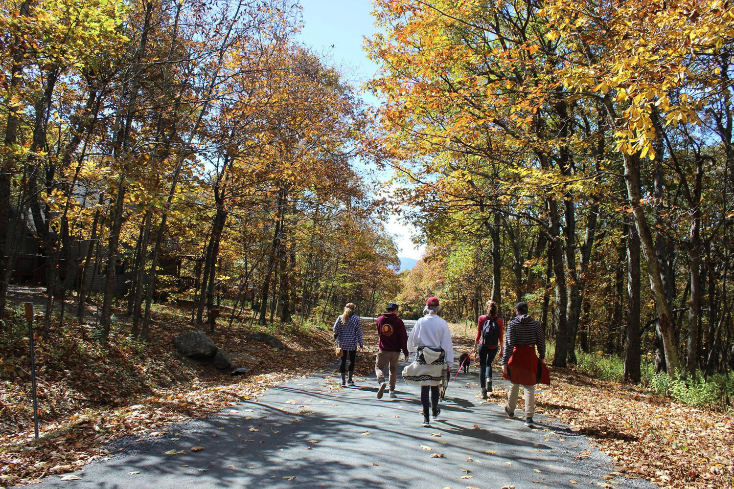 Rams in Recovery members on a hike.
<br>Contributed photo.